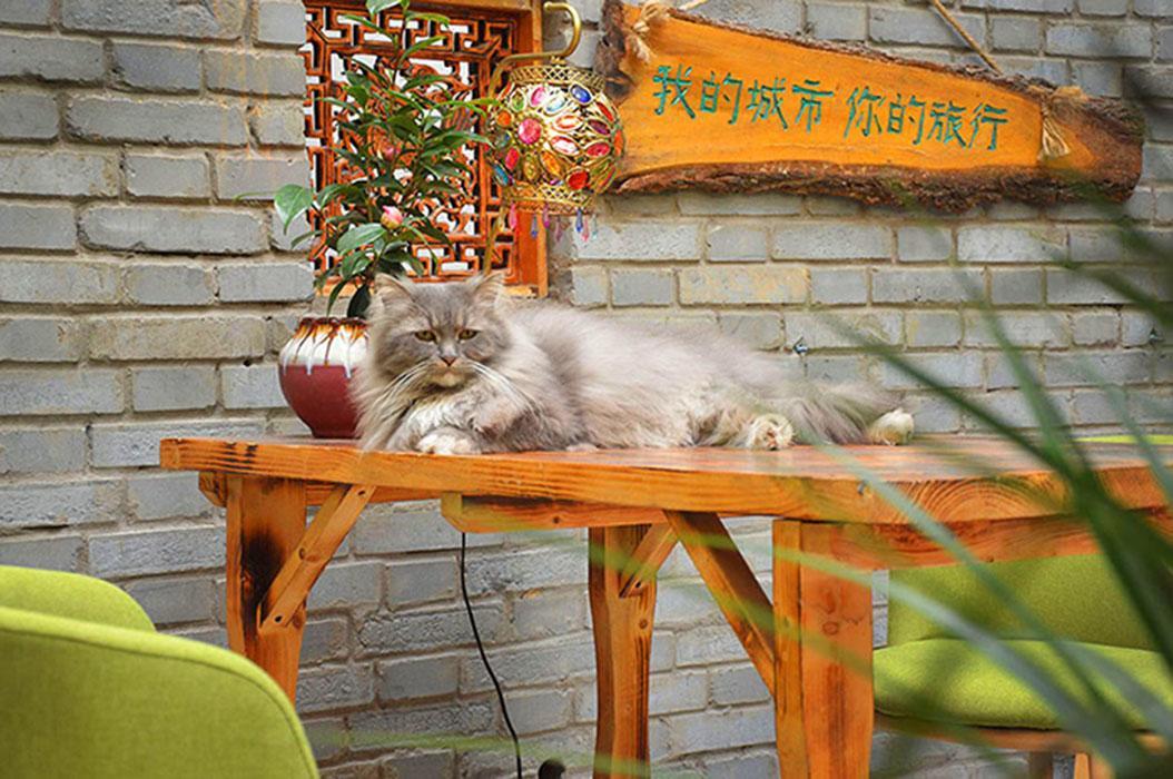 Luoyang Longmen Youth Hostel Exteriör bild